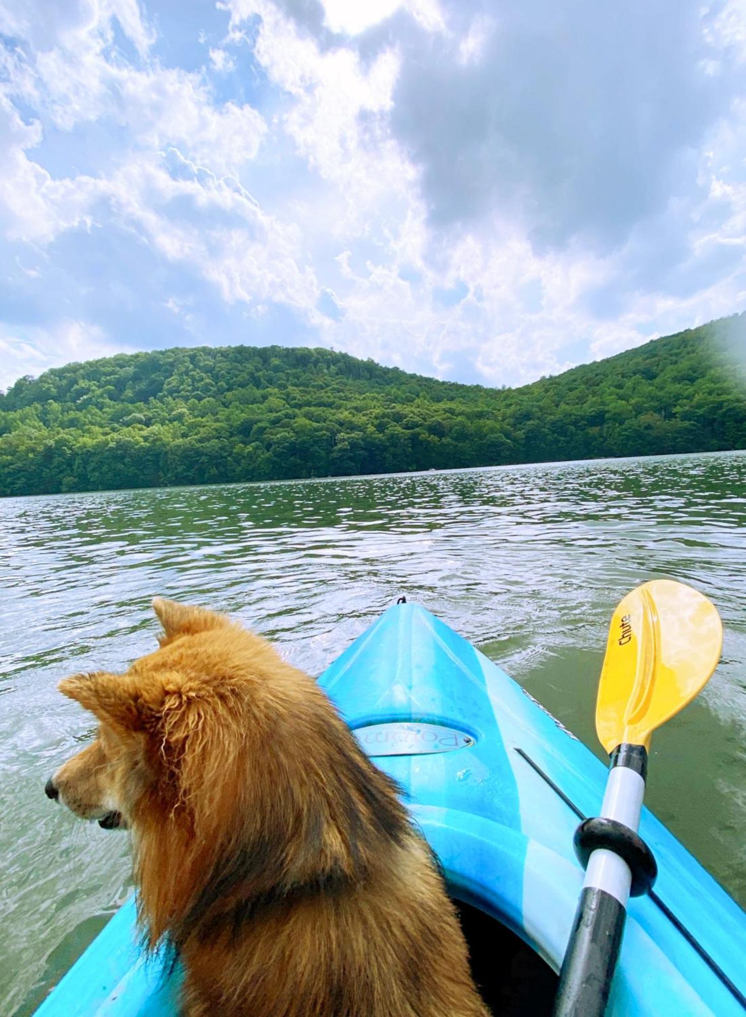 Lakeview Home 3 Private Beaches W/ Kayaks, On Squantz Pond New Fairfield Buitenkant foto